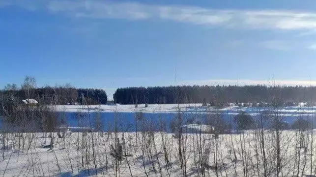 Участок в Московская область, Щелково городской округ, с. Рязанцы ул. ... - Фото 1