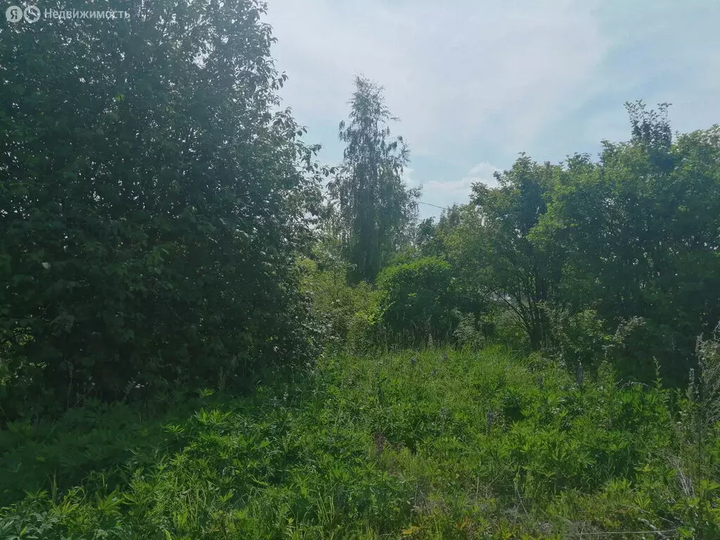 Участок в Уфа, 116 (10 м) - Фото 2
