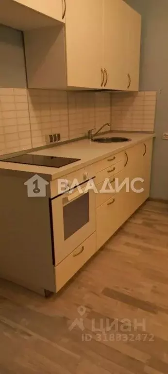 Студия Новосибирская область, Новосибирск Рябиновая ул., 10/1 (28.0 м) - Фото 0