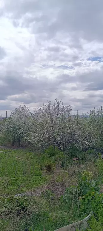 Участок 6,4 сот. (СНТ, ДНП) - Фото 1