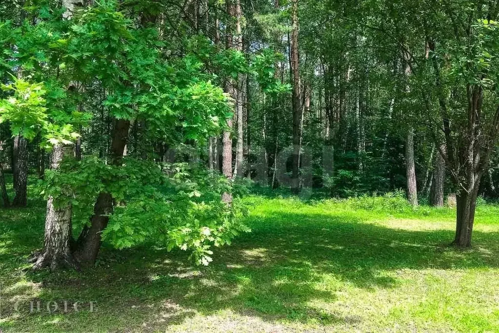 Участок в Московская область, Одинцовский городской округ, д. Шульгино ... - Фото 2