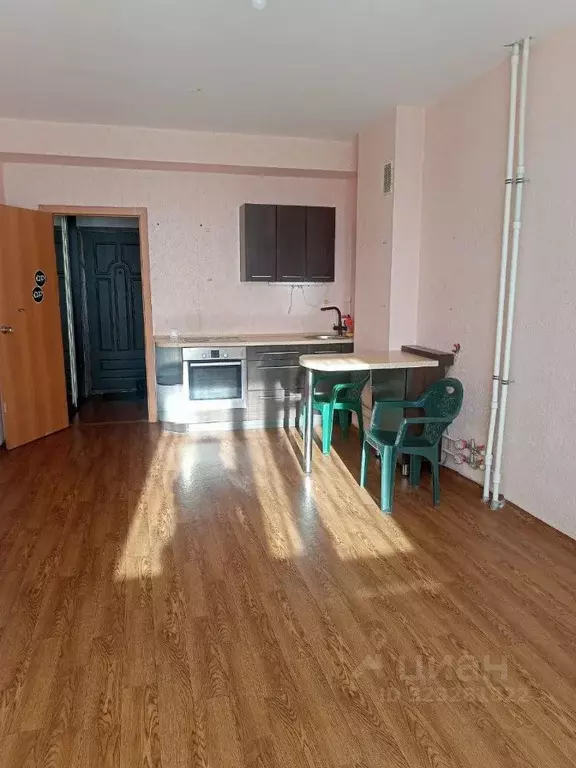 Студия Пермский край, Пермь ул. Калинина, 46 (27.0 м) - Фото 2