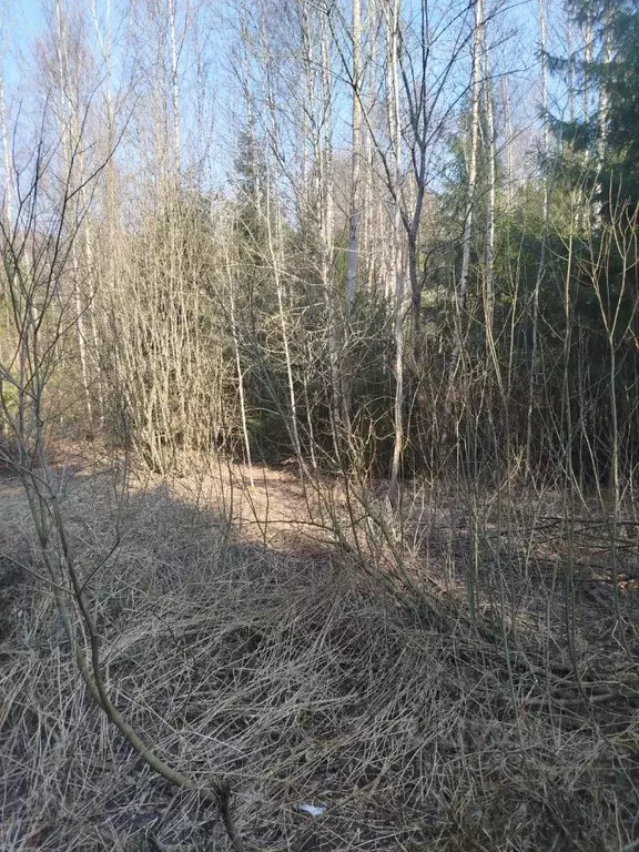 Участок в Московская область, Клин городской округ, д. Тиликтино  (8.0 ... - Фото 0