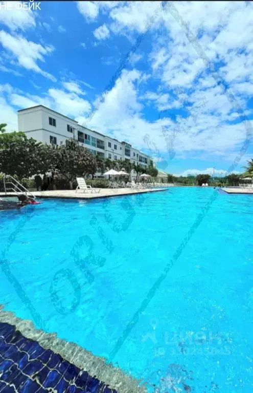 Дом в Краснодарский край, Сочи ул. Свердлова (550 м) - Фото 1