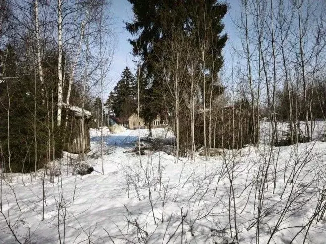 Участок в Московская область, Лобня Луговая мкр,  (12.5 сот.) - Фото 1