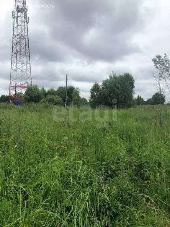 Участок в Московская область, городской округ Коломна, деревня Гришино ... - Фото 0