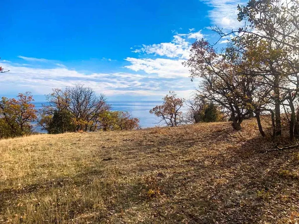 Участок в Крым, Алушта муниципальный округ, с. Приветное  (5.21 сот.) - Фото 2