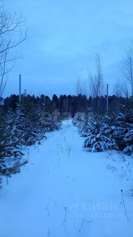 Участок в Тюменская область, Тюменский муниципальный округ, Княжево-2 ... - Фото 2