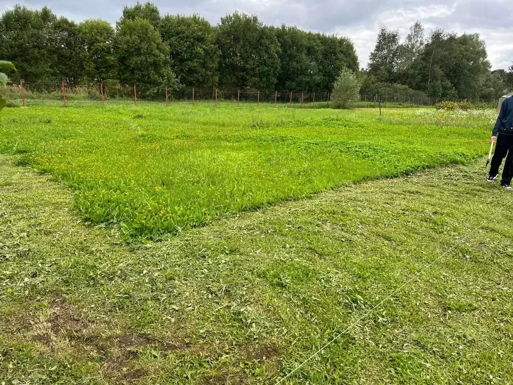 Участок в Московская область, Чехов муниципальный округ, д. Березенки  ... - Фото 2