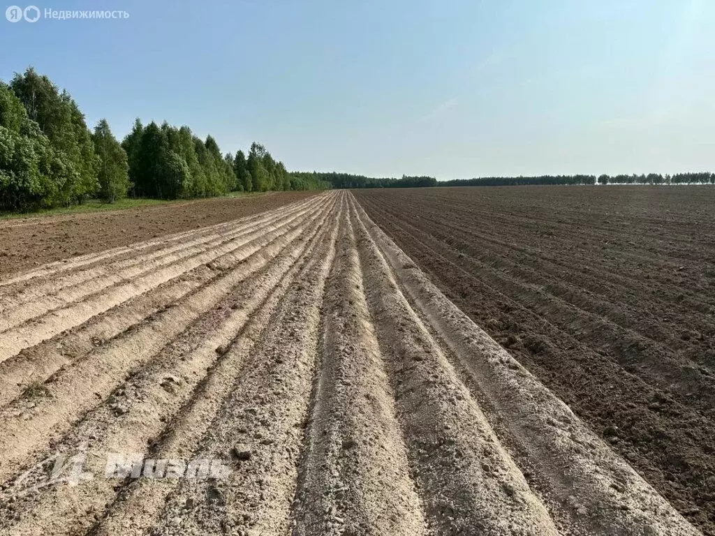 Участок в Суворовский район, муниципальное образование Юго-Восточное, ... - Фото 0