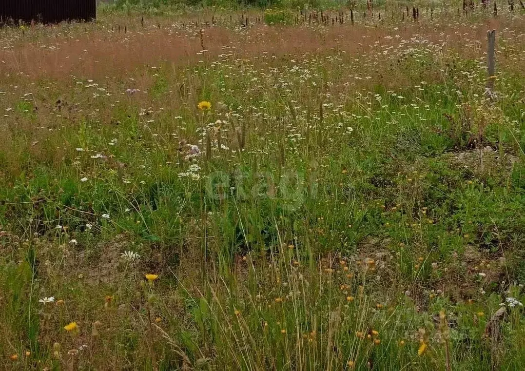 Участок в Ленинградская область, Ломоносовский район, Ропшинское ... - Фото 1