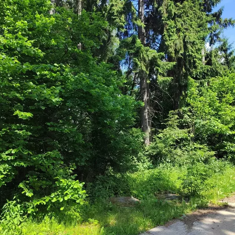 Участок в Московская область, Одинцовский городской округ, д. Сивково, ... - Фото 1