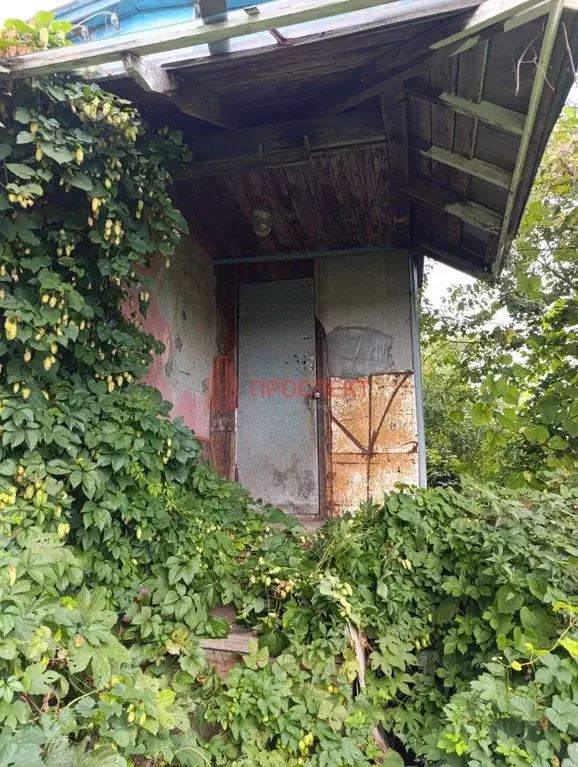 Дом в Пензенская область, Пенза Казенный Сад СНТ, 252 (50 м) - Фото 2