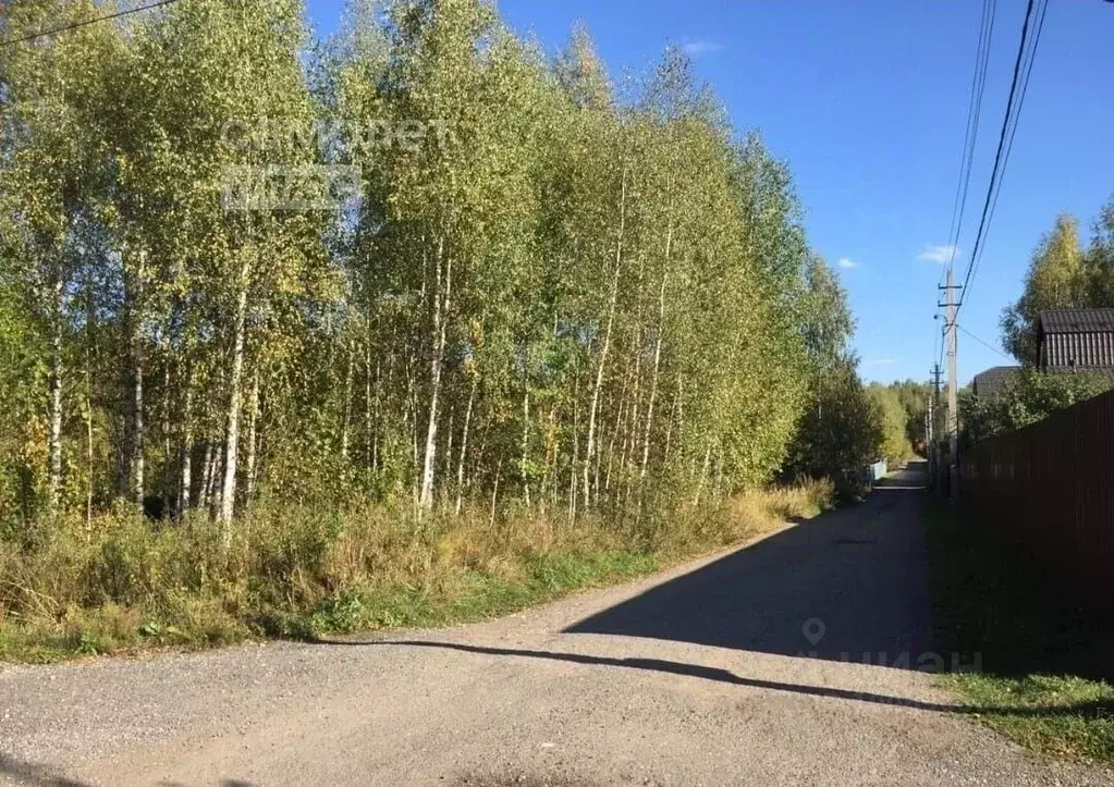 Участок в Владимирская область, Александровский район, Каринское ... - Фото 1