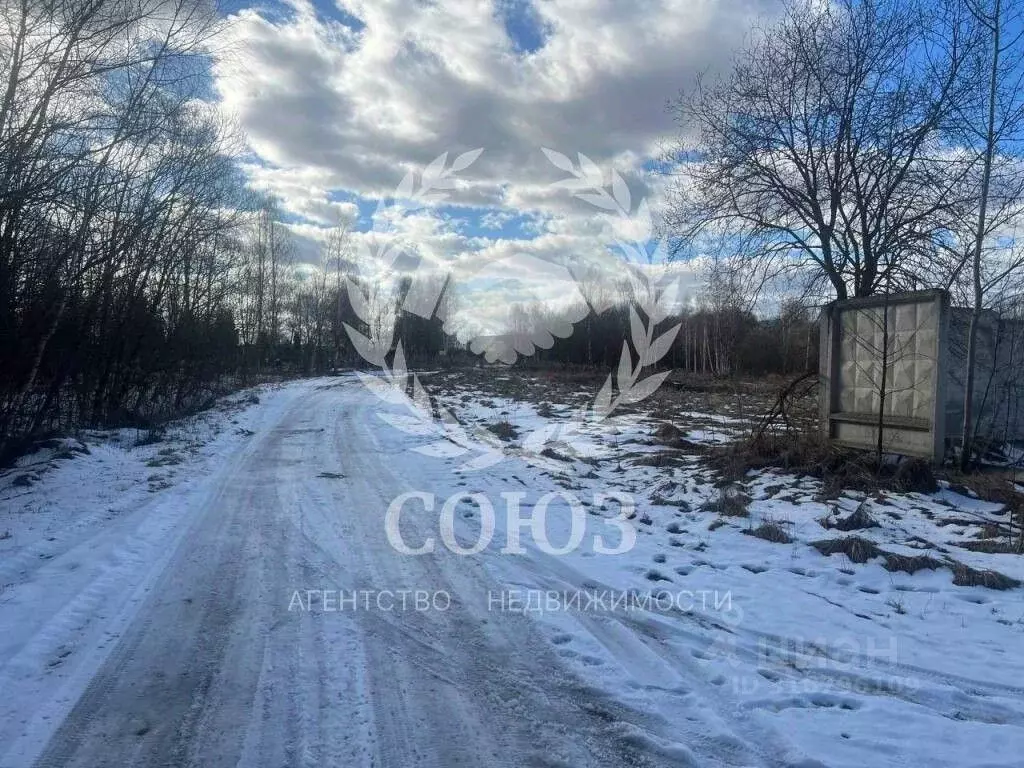 Участок в Калужская область, Дзержинский район, Дворцы с/пос, д. ... - Фото 2