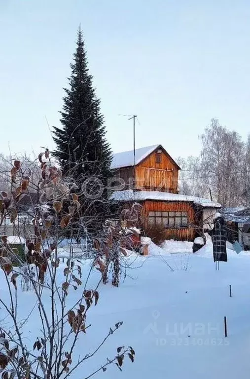 Дом в Тюменская область, Тюменский муниципальный округ, Искатель СТ ... - Фото 1