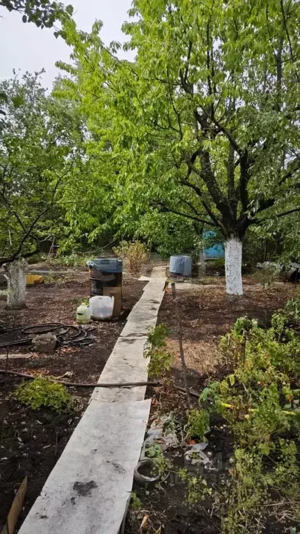 Участок в Ростовская область, Аксайский район, Истоминское с/пос, ... - Фото 1