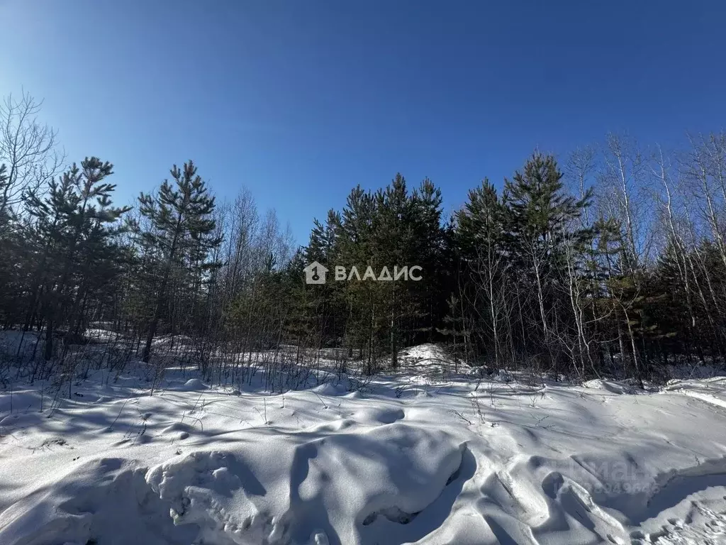 Участок в Иркутская область, Усольский район, с. Большая Елань  (15.0 ... - Фото 2
