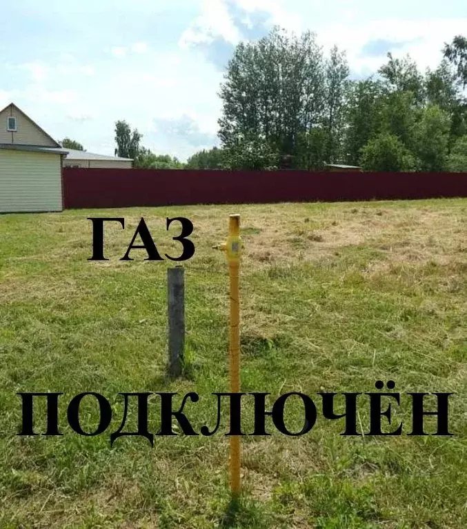 Участок в Рязанская область, Клепиковский район, Болоньское с/пос, д. ... - Фото 2