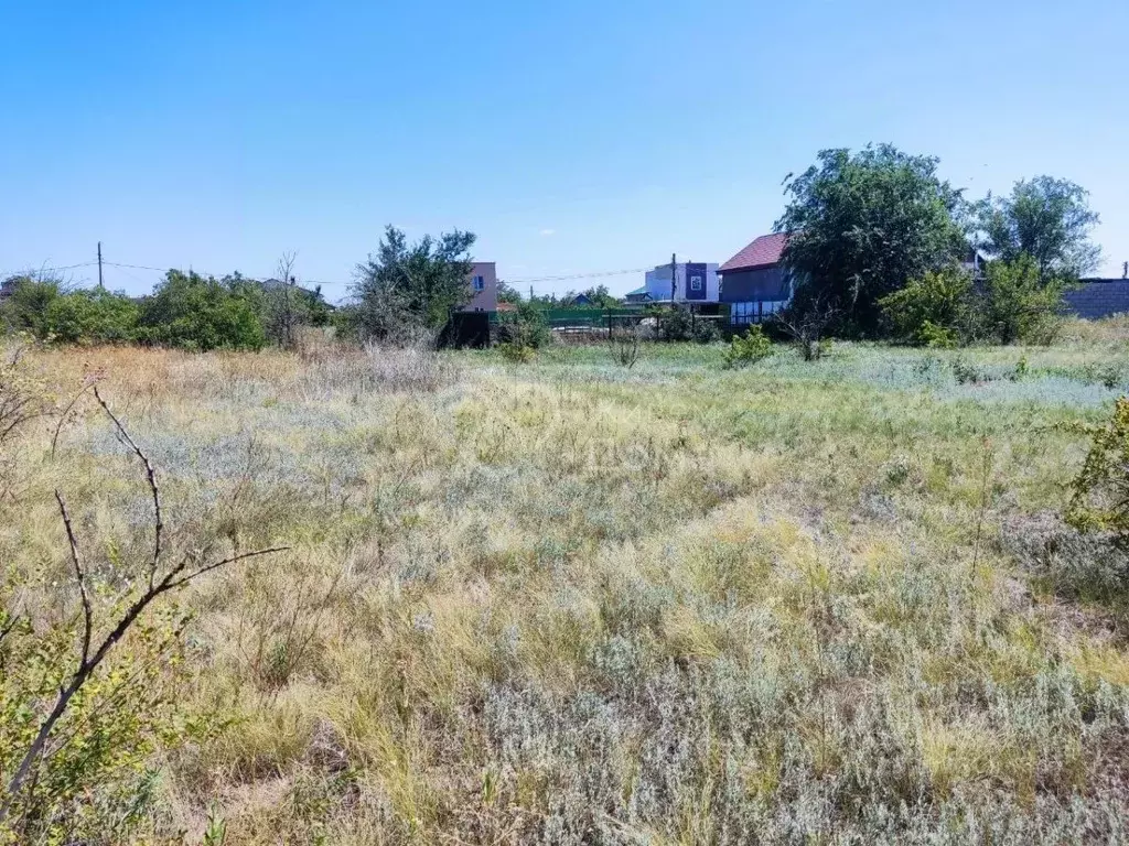 Участок в Волгоградская область, Городищенский район, Царицынское ... - Фото 1
