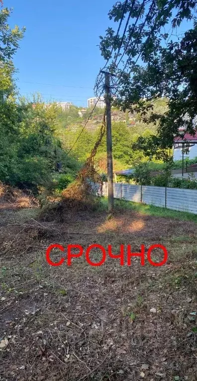 Участок в Краснодарский край, Сочи городской округ, с. Раздольное ул. ... - Фото 1