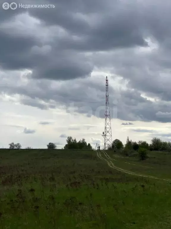 Участок в село Речица, Деснянская улица (10200 м) - Фото 1