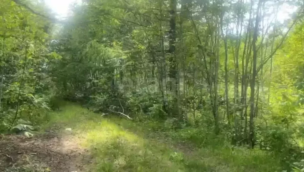 Участок в Сахалинская область, Южно-Сахалинск Восток СНТ, ул. ... - Фото 1