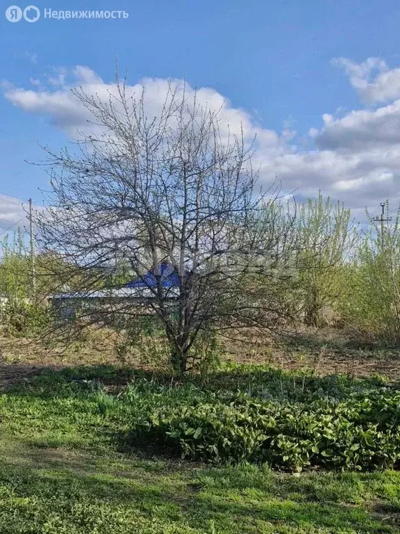 Участок в Барнаул, Газобетонная улица (9 м) - Фото 0