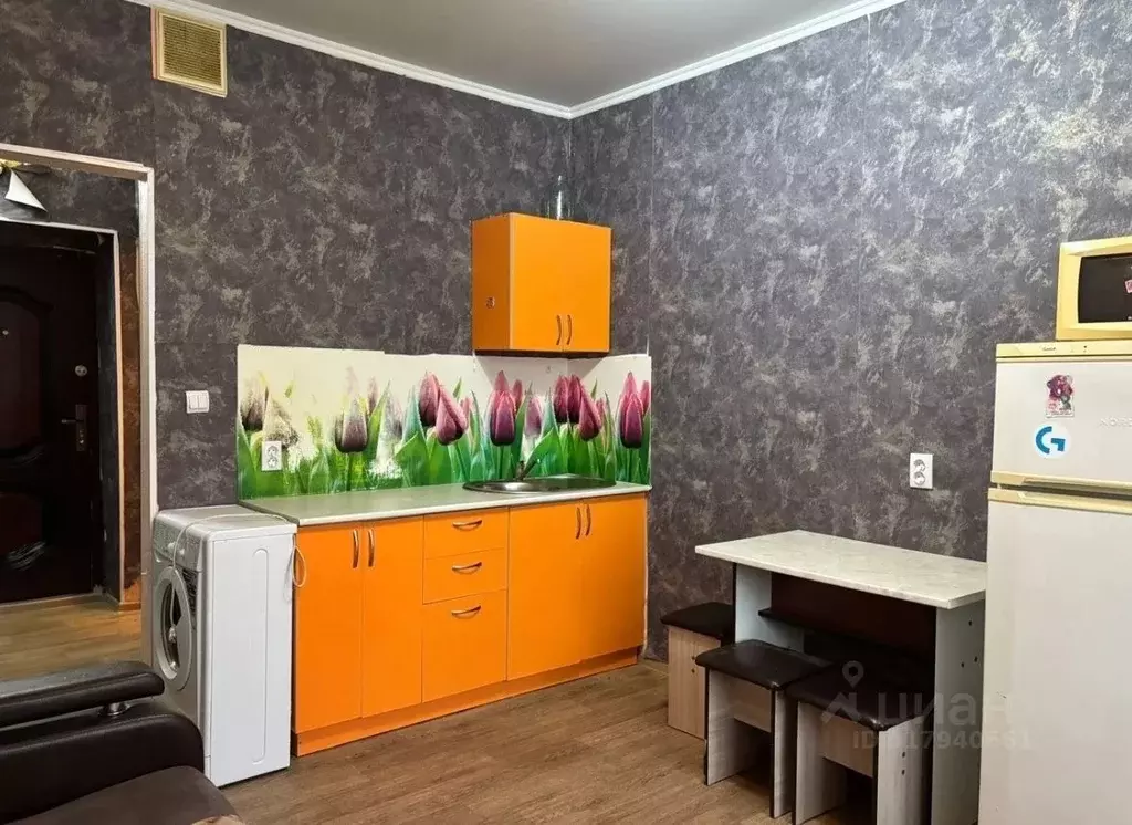 Студия Хакасия, Абакан просп. Дружбы Народов, 41А (25.0 м) - Фото 1