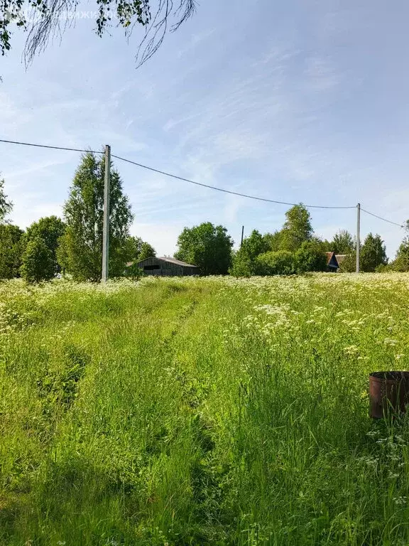 Участок в Ярославская область, Борисоглебский муниципальный округ, ... - Фото 1