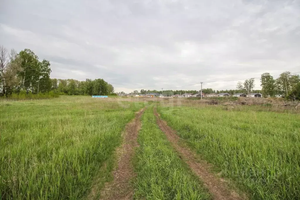Участок в Алтайский край, Первомайский район, с. Фирсово Палитра жилой ... - Фото 2