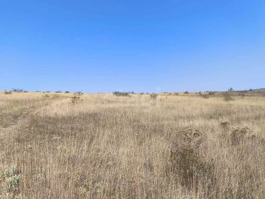 Участок в Крым, Симферопольский район, Чистенское с/пос, с. Камышинка  ... - Фото 1