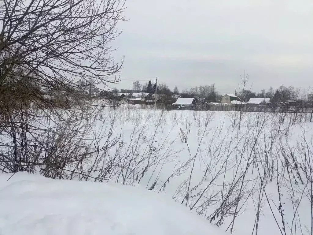 Участок в Ярославская область, Тутаевский муниципальный округ, д. ... - Фото 2