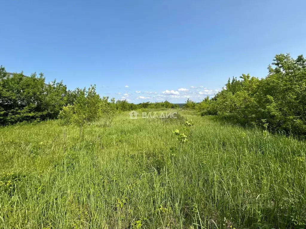 Участок в Пензенская область, с. Бессоновка ул. Большой Колояр (25.0 ... - Фото 1