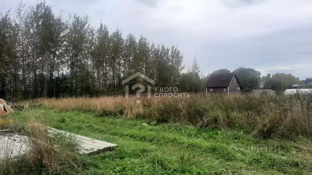 Участок в Ленинградская область, Ломоносовский район, Оржицкое с/пос, ... - Фото 2
