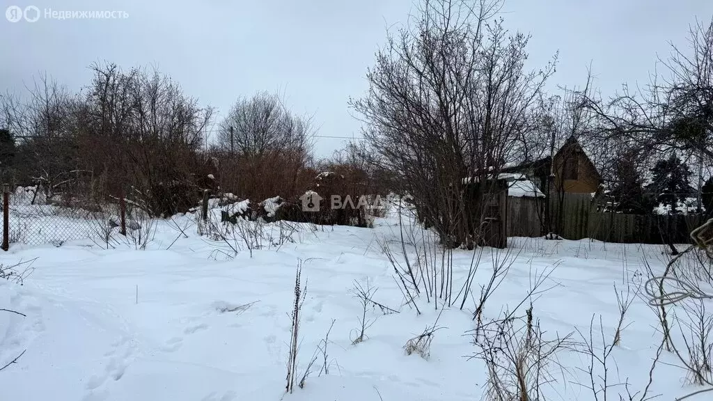 Участок в Калининградская область, Багратионовский муниципальный ... - Фото 2