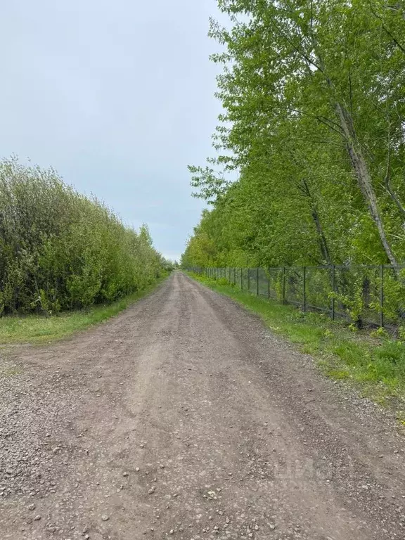 Участок в Башкортостан, Уфимский район, Булгаковский сельсовет, ... - Фото 2