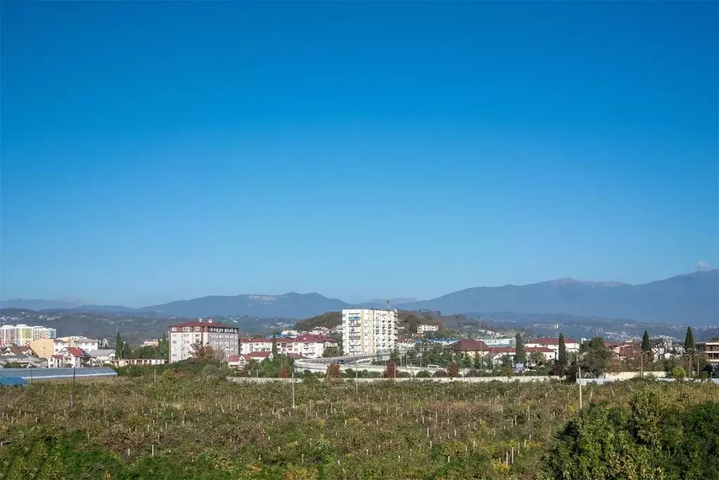 Комната Краснодарский край, Сочи ул. Просвещения, 110А (15.0 м) - Фото 1