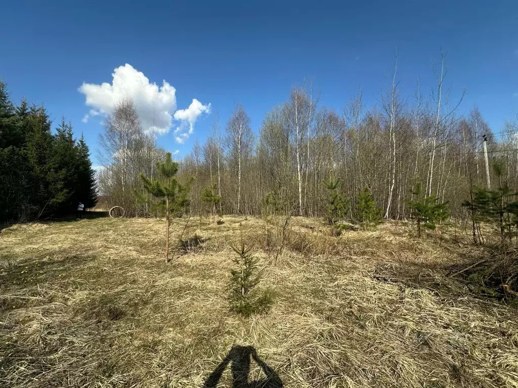 Участок в Московская область, Солнечногорск городской округ, д. ... - Фото 2