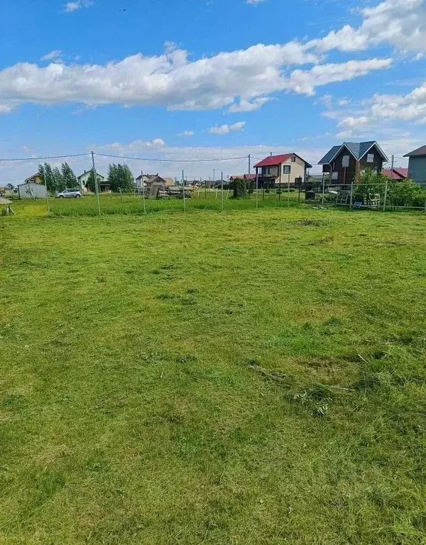 Участок в Новосибирская область, Новосибирский район, Толмачевский ... - Фото 2