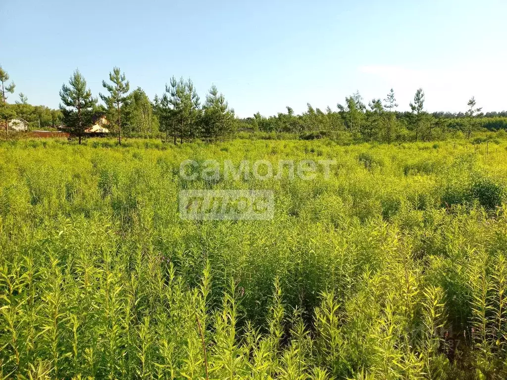 Участок в Нижегородская область, Дальнее Константиново рп пер. ... - Фото 1