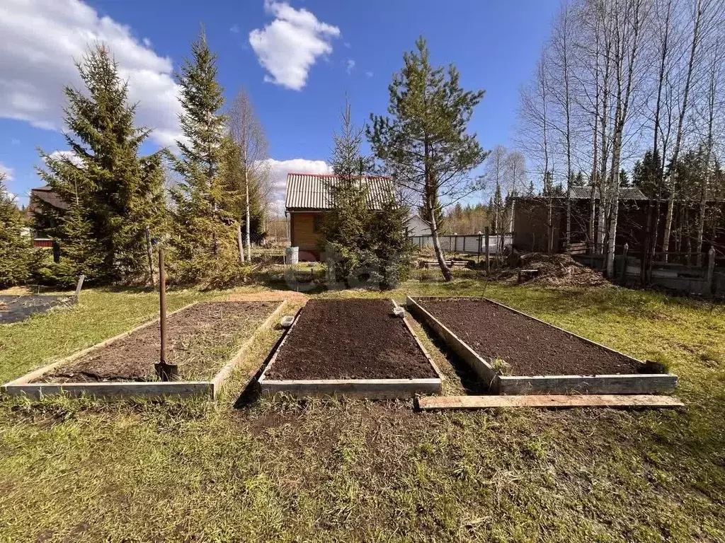 Дом в Архангельская область, Приморский муниципальный округ, Звездочка ... - Фото 1