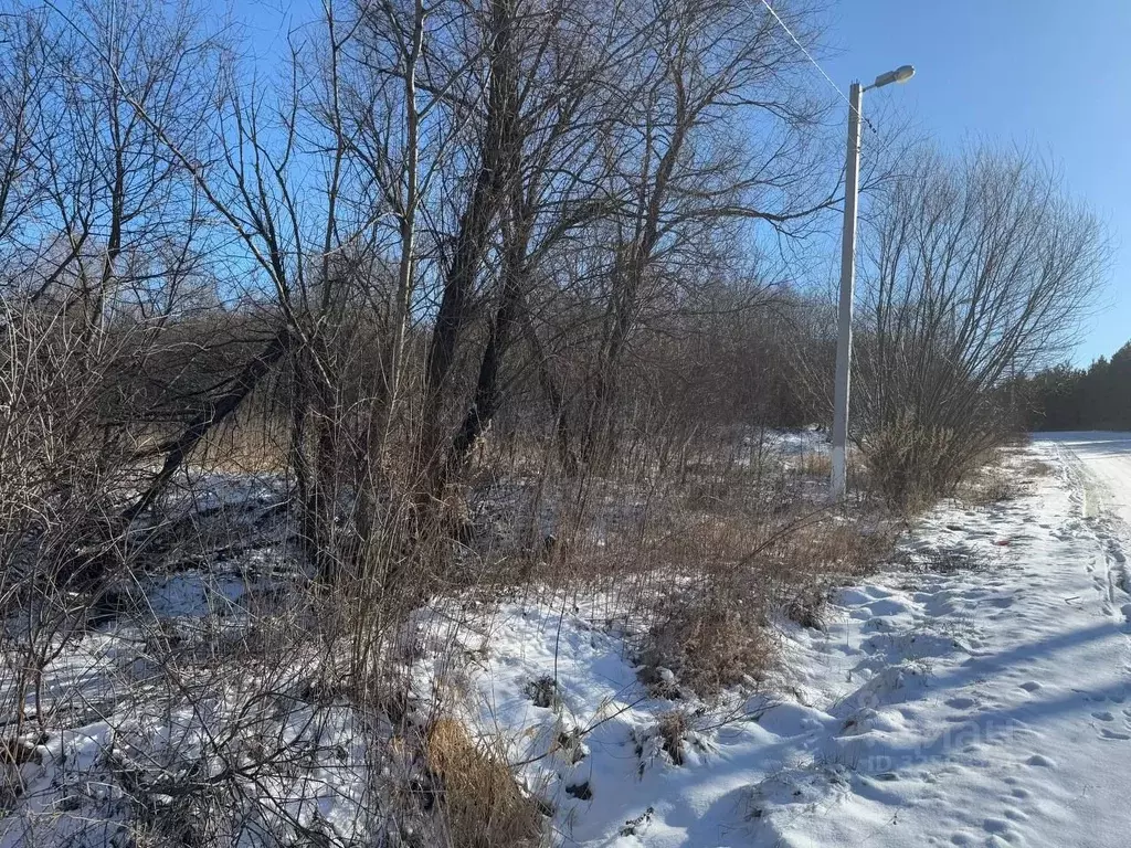 Участок в Московская область, Кашира городской округ, д. Колтово  ... - Фото 2