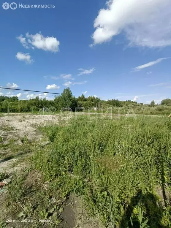 Участок в Тюмень, территория СОСН Лесная Поляна (9.4 м) - Фото 1