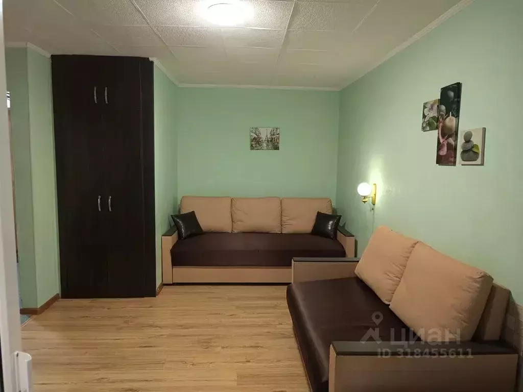 1-к кв. Краснодарский край, Сочи ул. Лазарева, 56 (30.0 м) - Фото 1