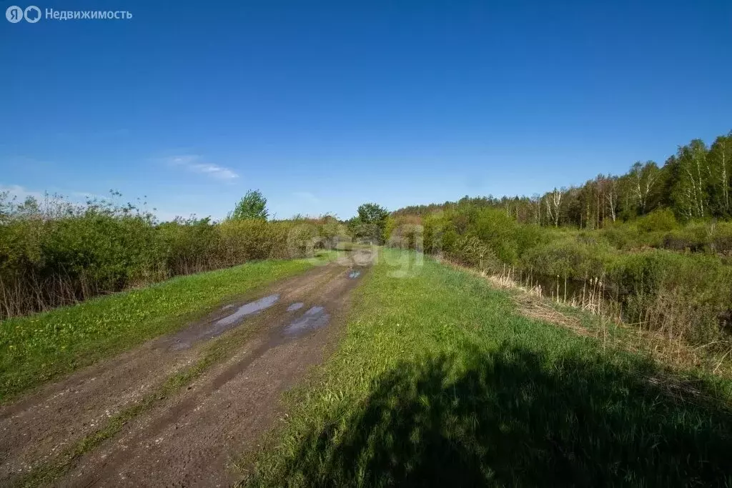 Участок в Тюменский район, деревня Зубарева (15 м) - Фото 1