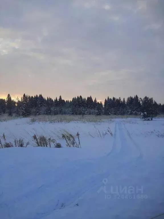 Участок в Удмуртия, Завьяловский район, д. Сизево ул. Дивная Горка, 38 ... - Фото 2