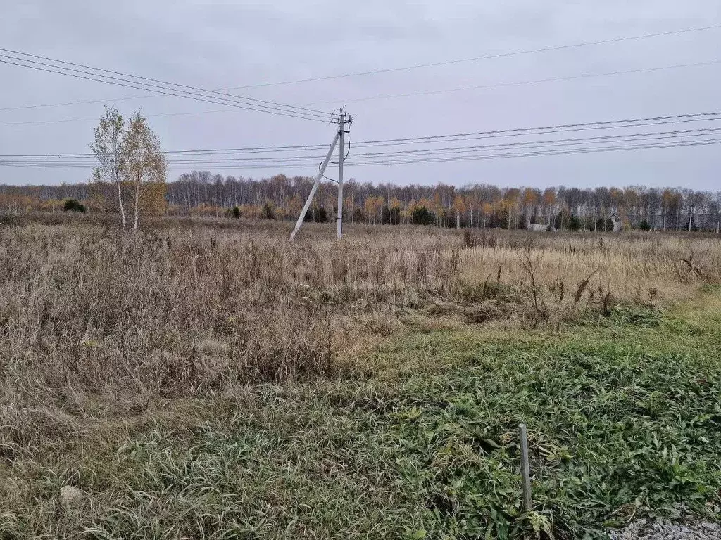 Участок в Челябинская область, Сосновский муниципальный округ, с. ... - Фото 1