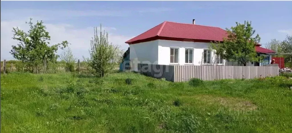 Дом в Воронежская область, Борисоглебский городской округ, с. Богана  ... - Фото 1