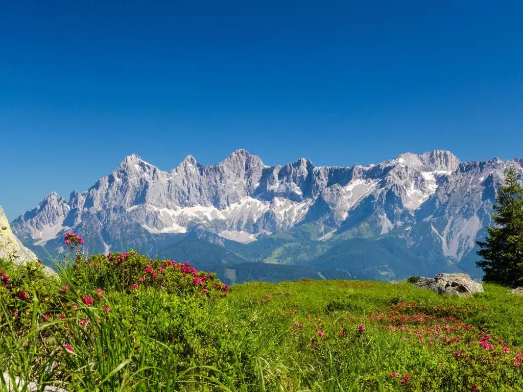 Участок в Алтай, Чемальский район, Седьмое небо кп  (28.4 сот.) - Фото 1